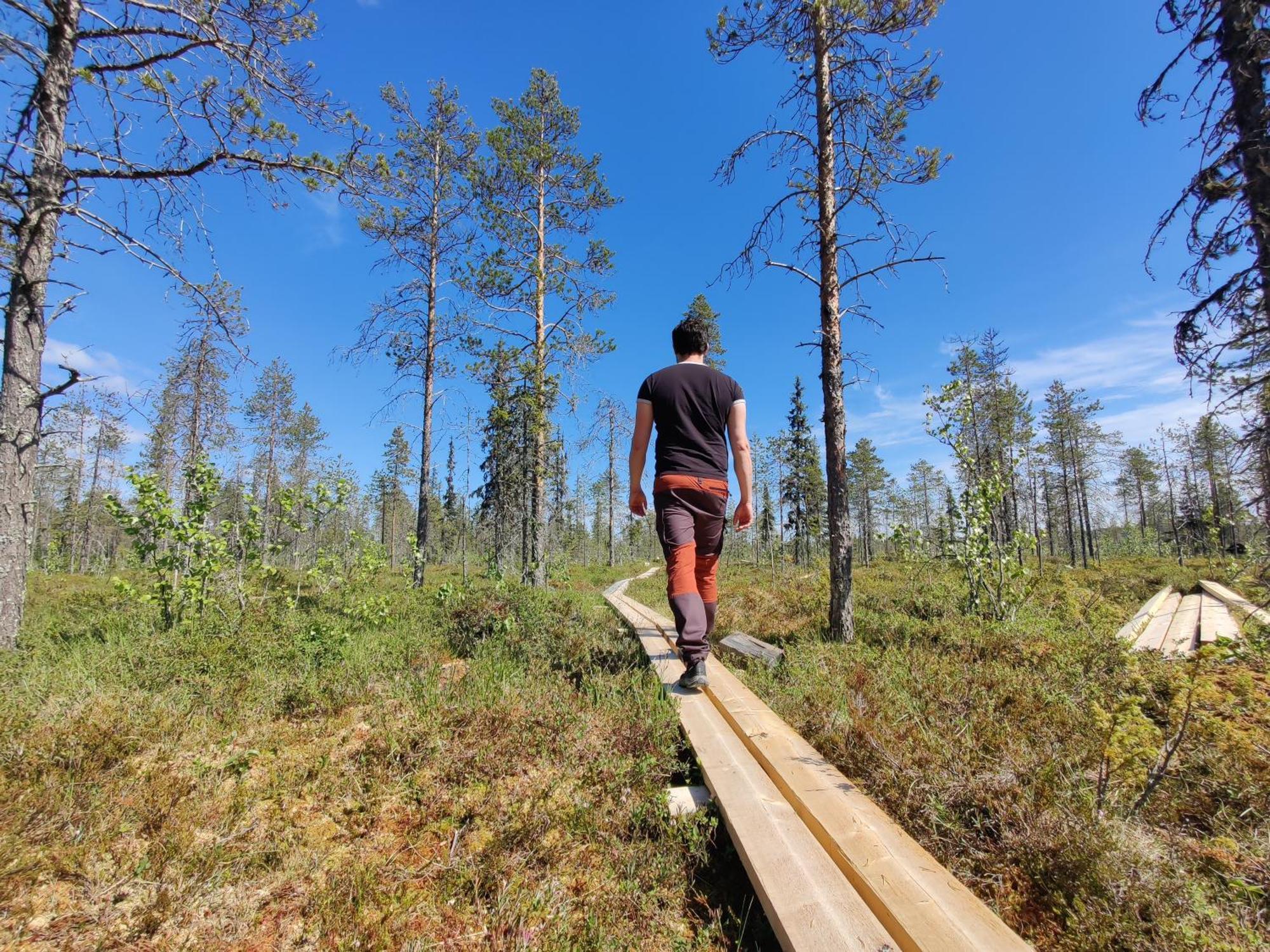 Langforsen Glamping & Lapland Experience Hotell Lapptrask Exteriör bild